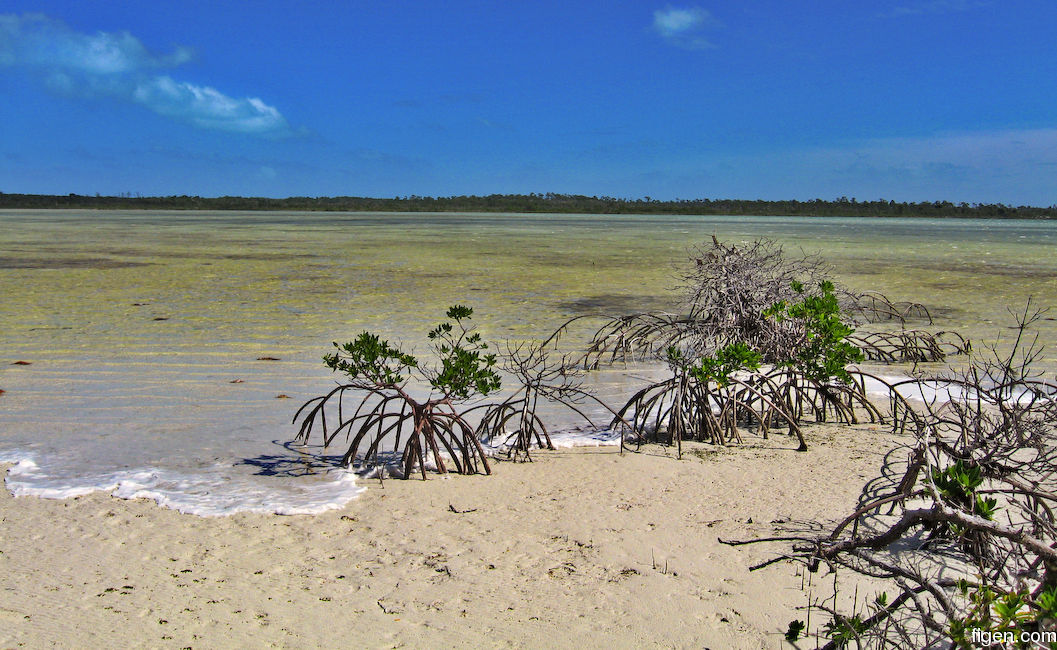 big_071030-Abaco-Dumpa-morning.jpg
