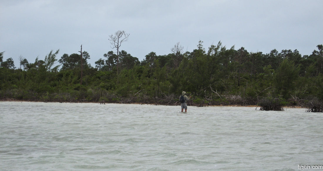 big_071031-Abaco-Dumpa-Frank2.jpg