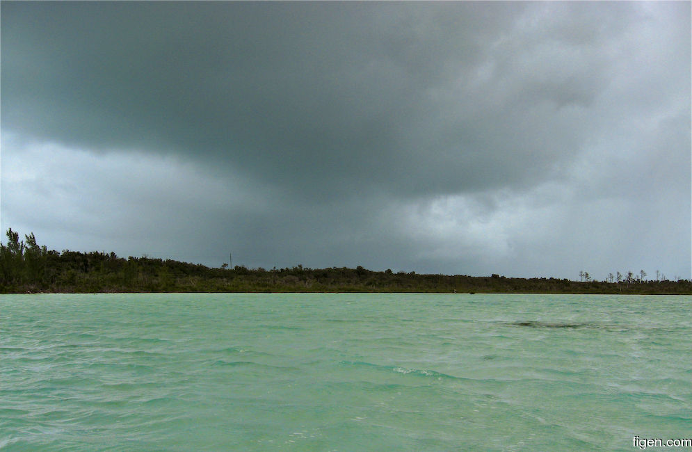 big_071031-Abaco-Dumpa-Frank5.jpg