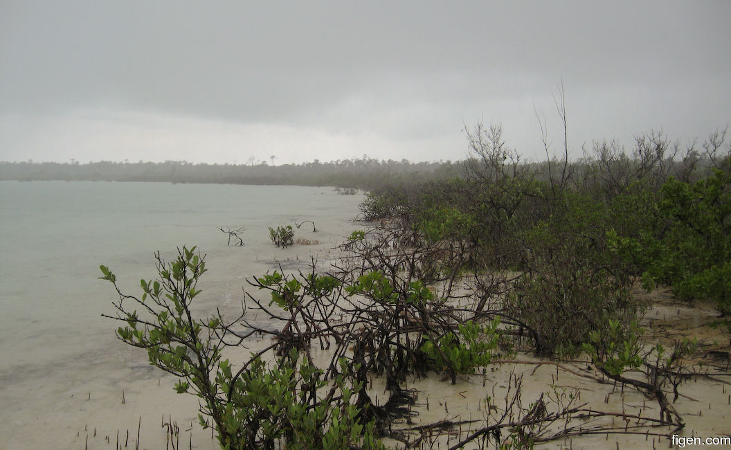 big_071031-Abaco-Dumpa-regn.jpg