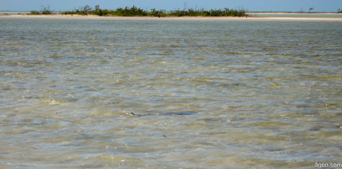 big_071102-Abaco-Purka-hai.jpg