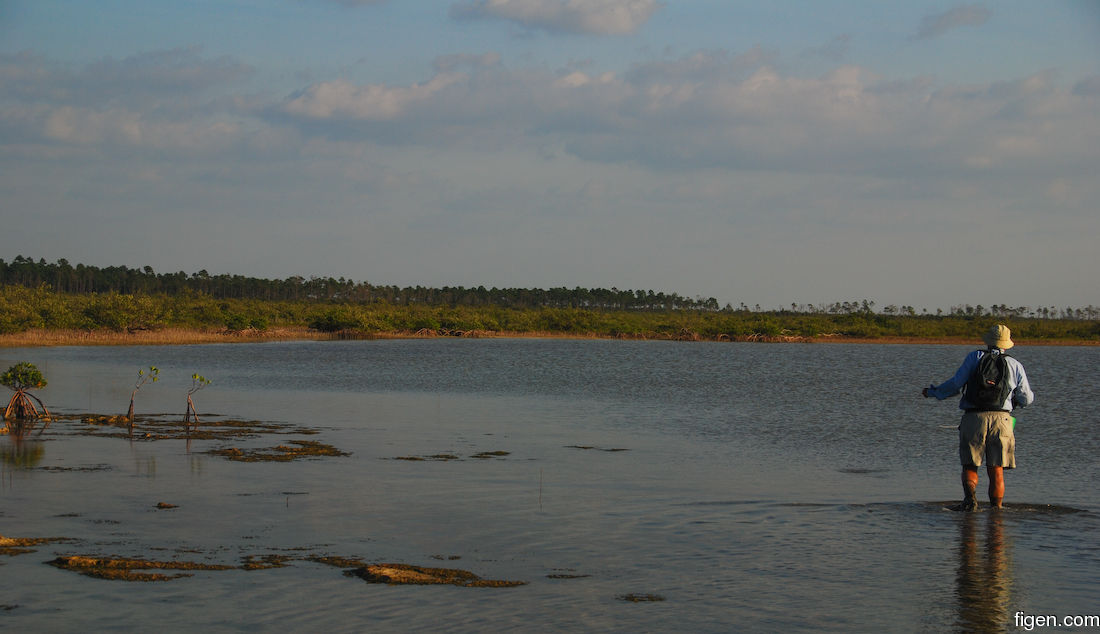 big_071104-Abaco-Purka-afternoon.jpg