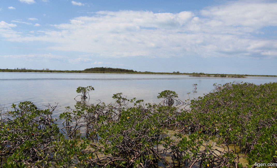 big_071106-Abaco-Purka-channel.jpg