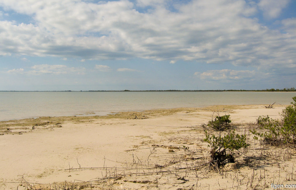 big_071106-Abaco-Purka-odden.jpg