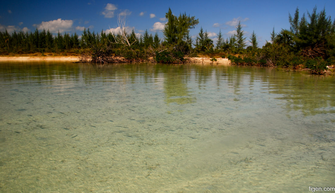 big_071110-Abaco-cays-school-fry.jpg