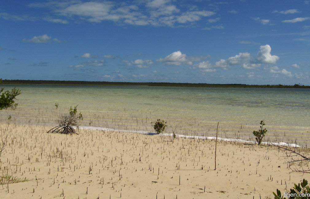 big_071112-Abaco-Purka-stoloya.jpg