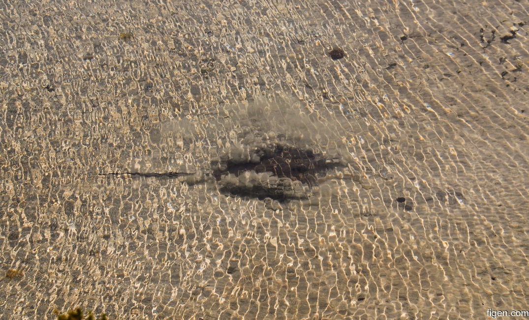 big_071116-Abaco-dumpa-stingray-mud2.jpg