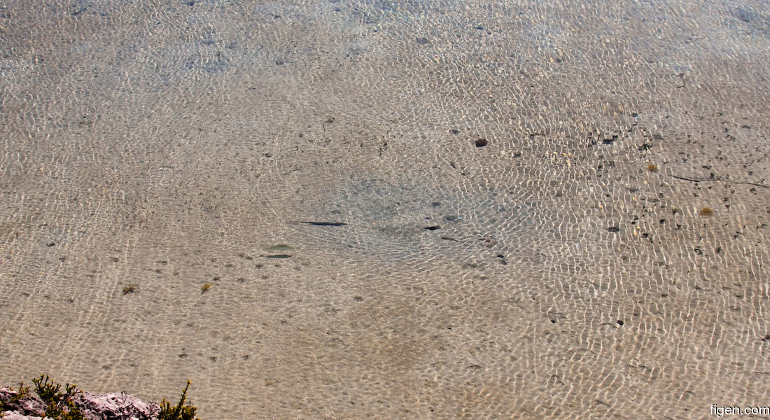 big_071116-Abaco-dumpa-stingray-mud5.jpg