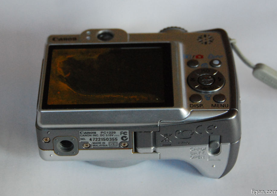 big_071203-Abaco-Peterson-canon.jpg