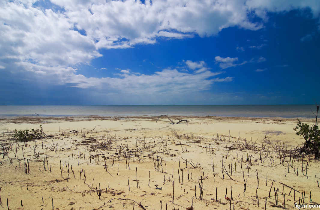 big_080216-bahamas-abaco-Purka-cloudy3.jpg