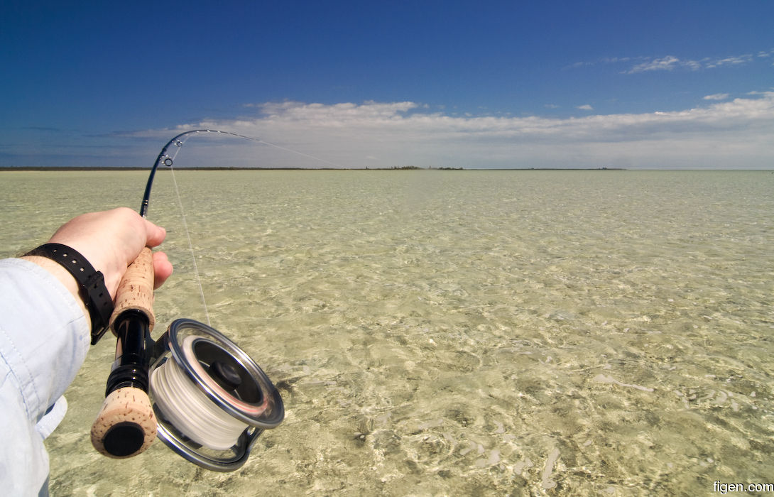 big_080216-bahamas-abaco-Purka-fishon.jpg