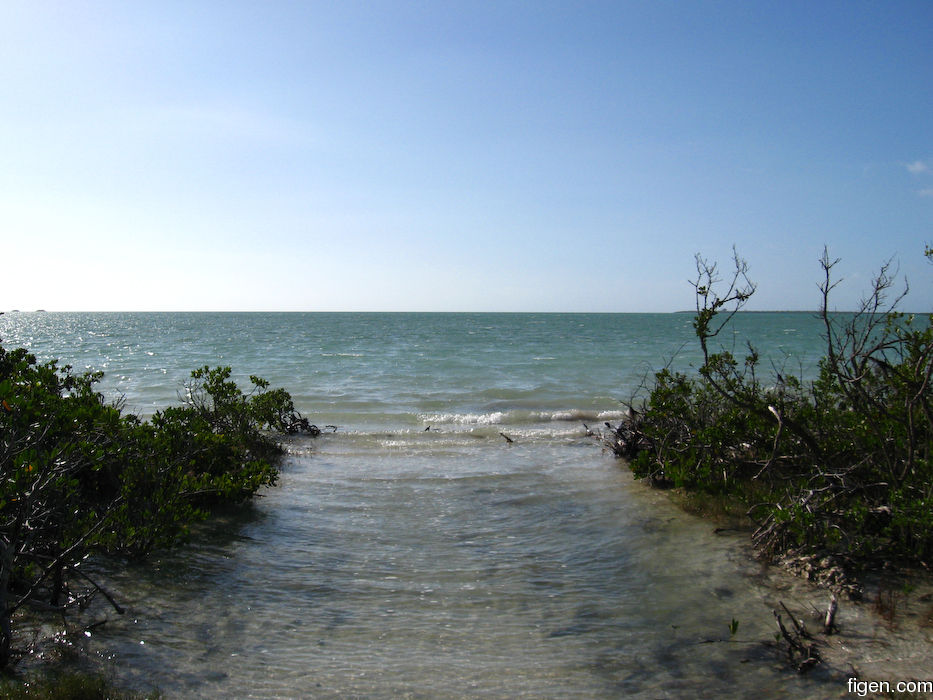 big_080218-bahamas-abaco-Dumpa-tide.jpg