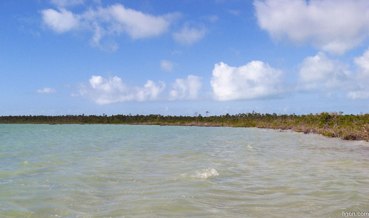 big_080218-bahamas-abaco-Dumpa-tide2.jpg