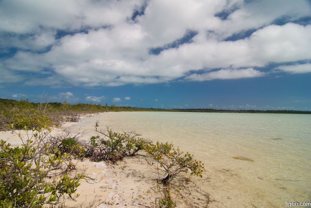 big_080218-bahamas-abaco-Dumpa-tide3.jpg