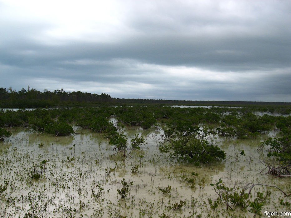 big_080219-bahamas-abaco-purka-bay.jpg