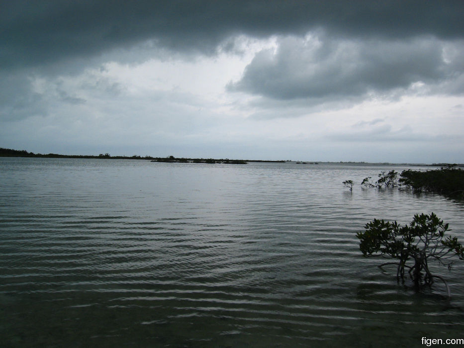 big_080219-bahamas-abaco-purka-tough.jpg