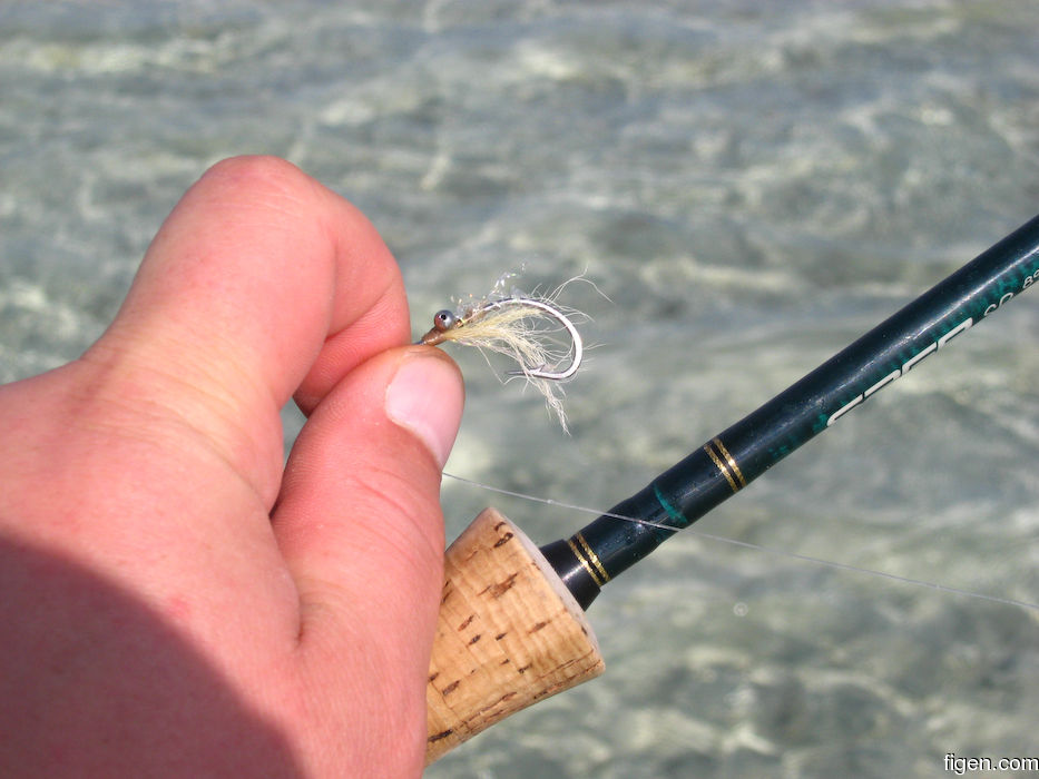 big_080220-bahamas-abaco-dumpa-fishon6.jpg