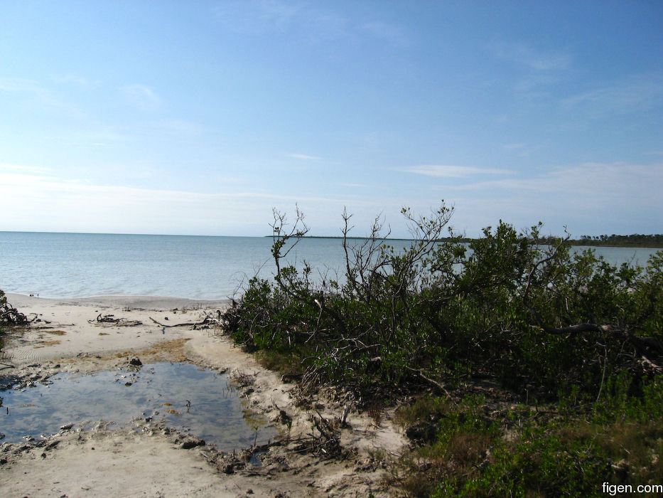 big_080220-bahamas-abaco-dumpa-tide.jpg