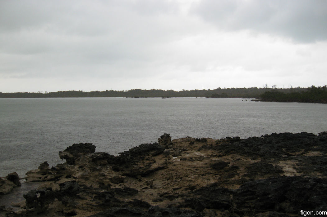 big_080221-bahamas-abaco-dumpa-rain.jpg