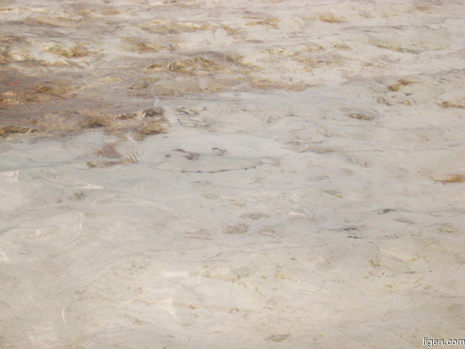 big_080221-bahamas-abaco-dumpa-stingray.jpg