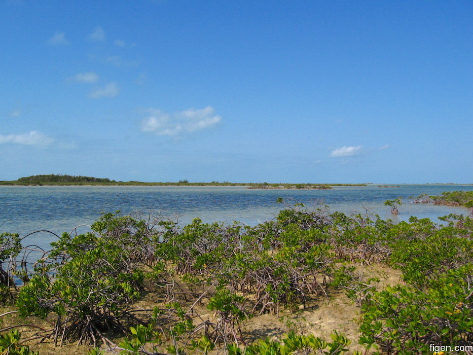 big_080221-bahamas-abaco-purka-channel.jpg