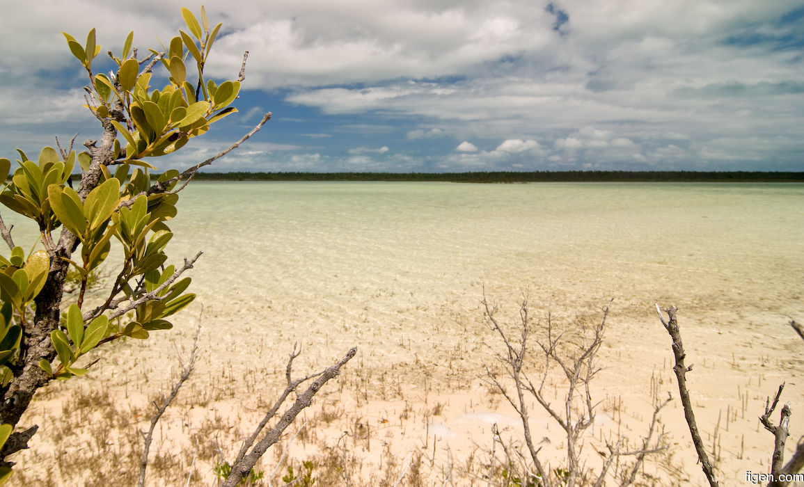 big_080221-bahamas-abaco-purka-stoloya2.jpg