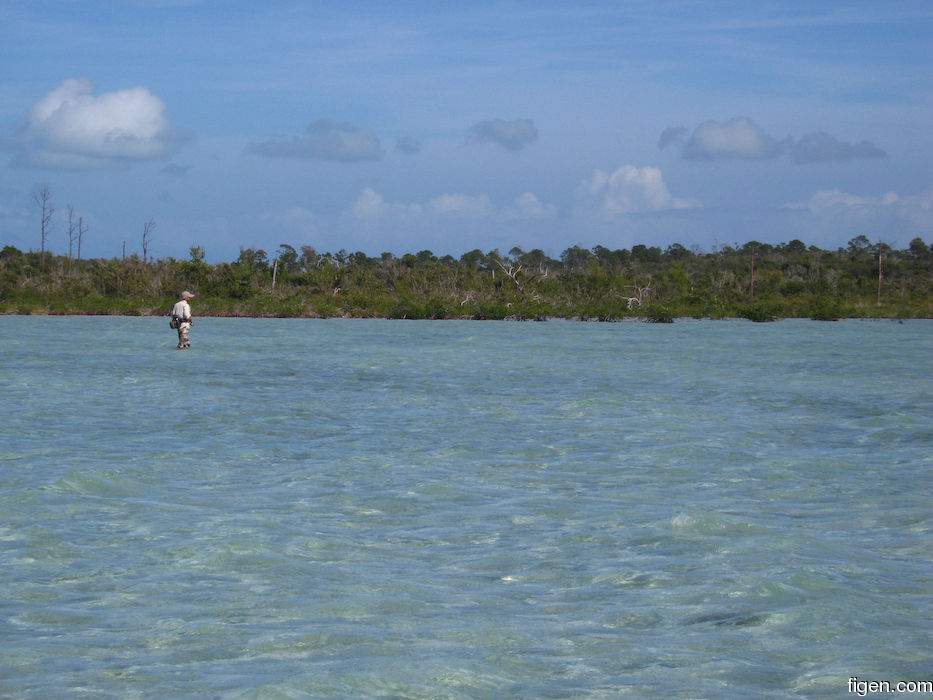 big_080222-bahamas-abaco-dumpa-Lars.jpg