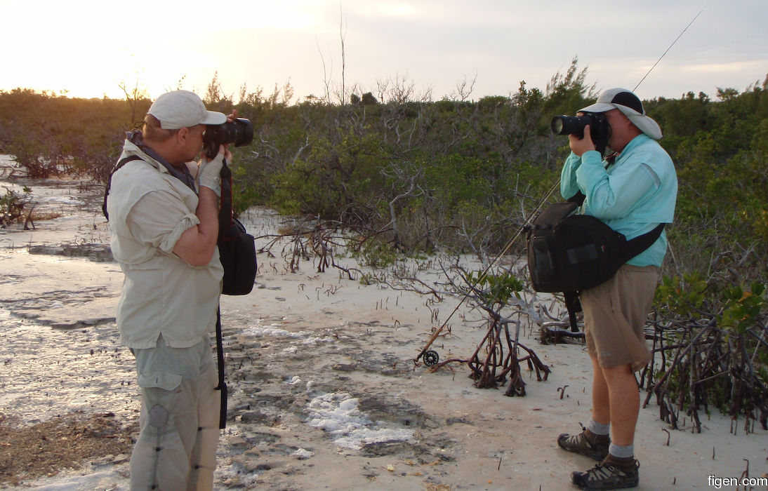 big_080223-bahamas-abaco-photo-whores-LJ.jpg