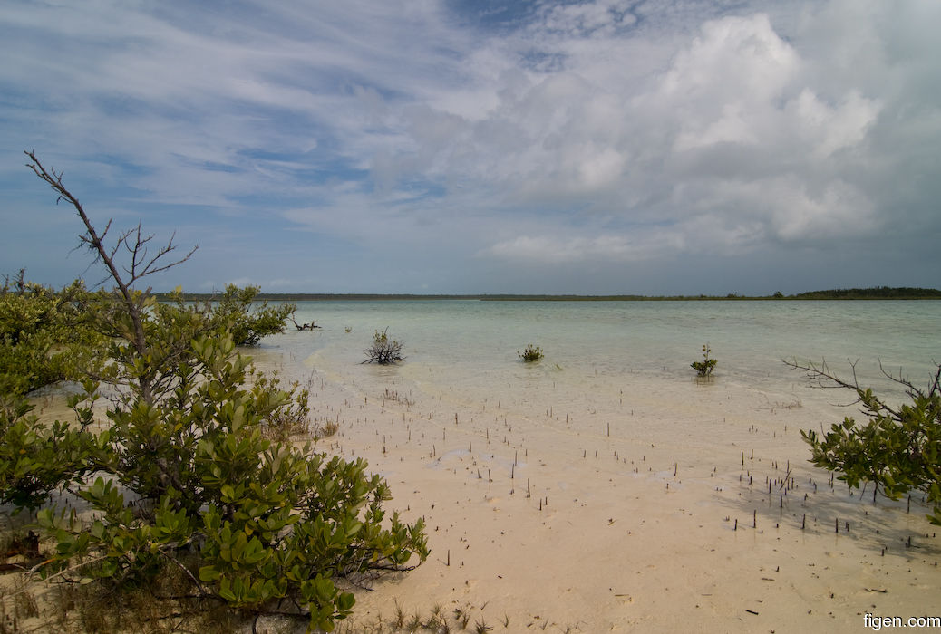 big_080223-bahamas-abaco-purka-clear.jpg