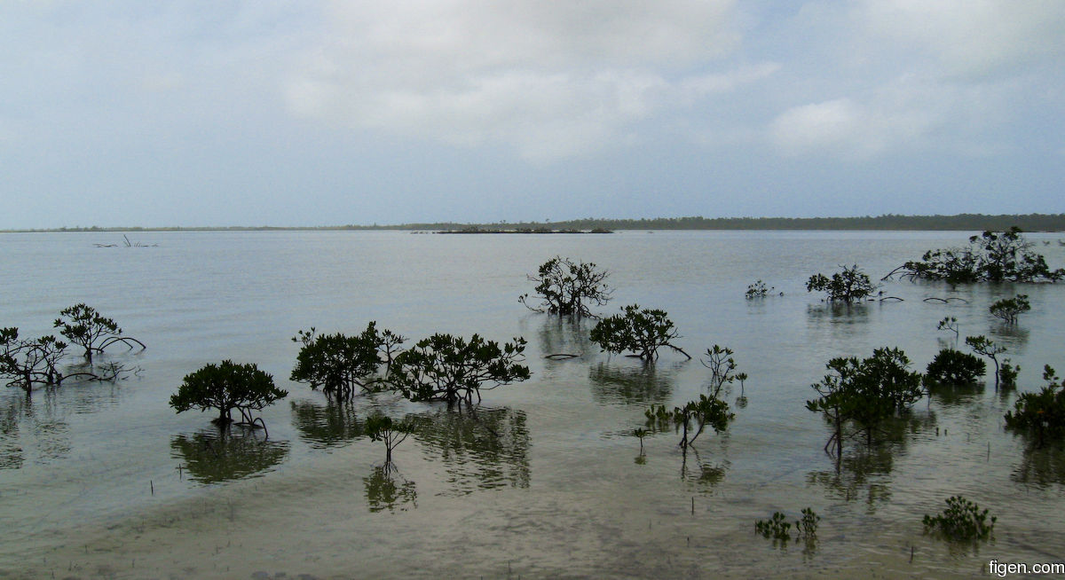 big_080223-bahamas-abaco-purka-rain2.jpg