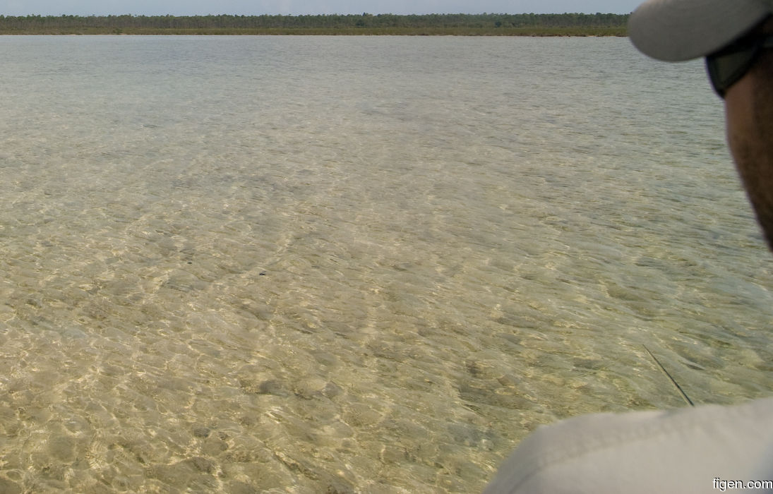 big_080224-bahamas-abaco-purka-channel.jpg