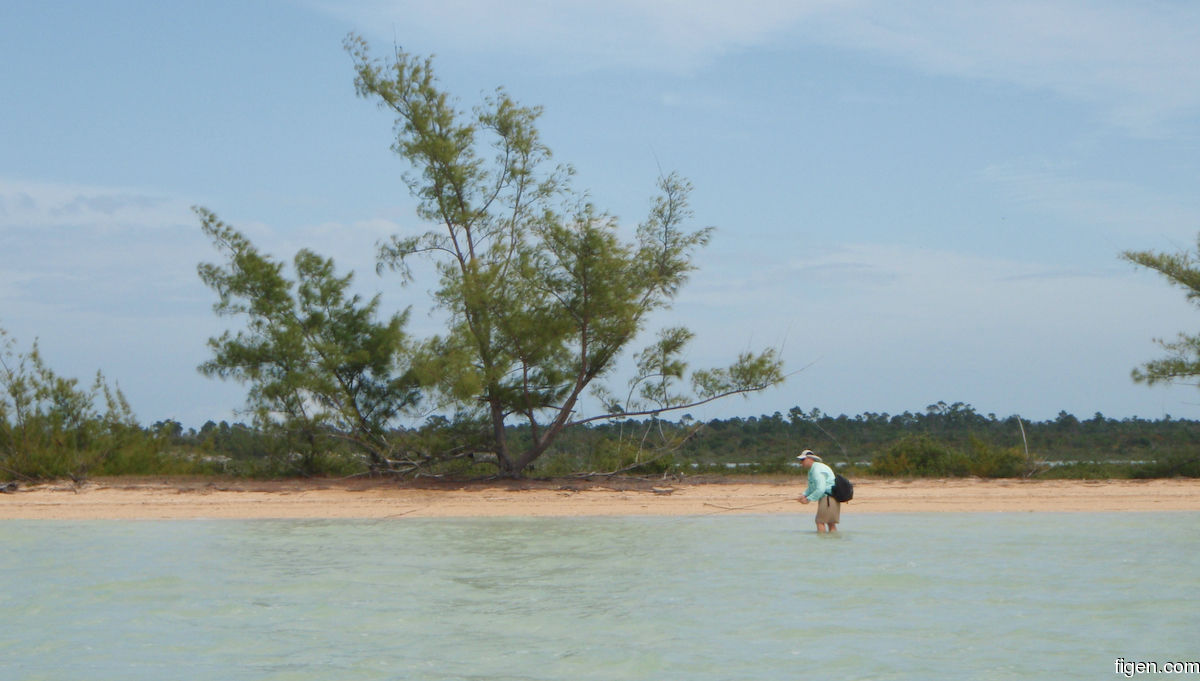 big_080224-bahamas-abaco-purka-corner-figen-LJ.jpg