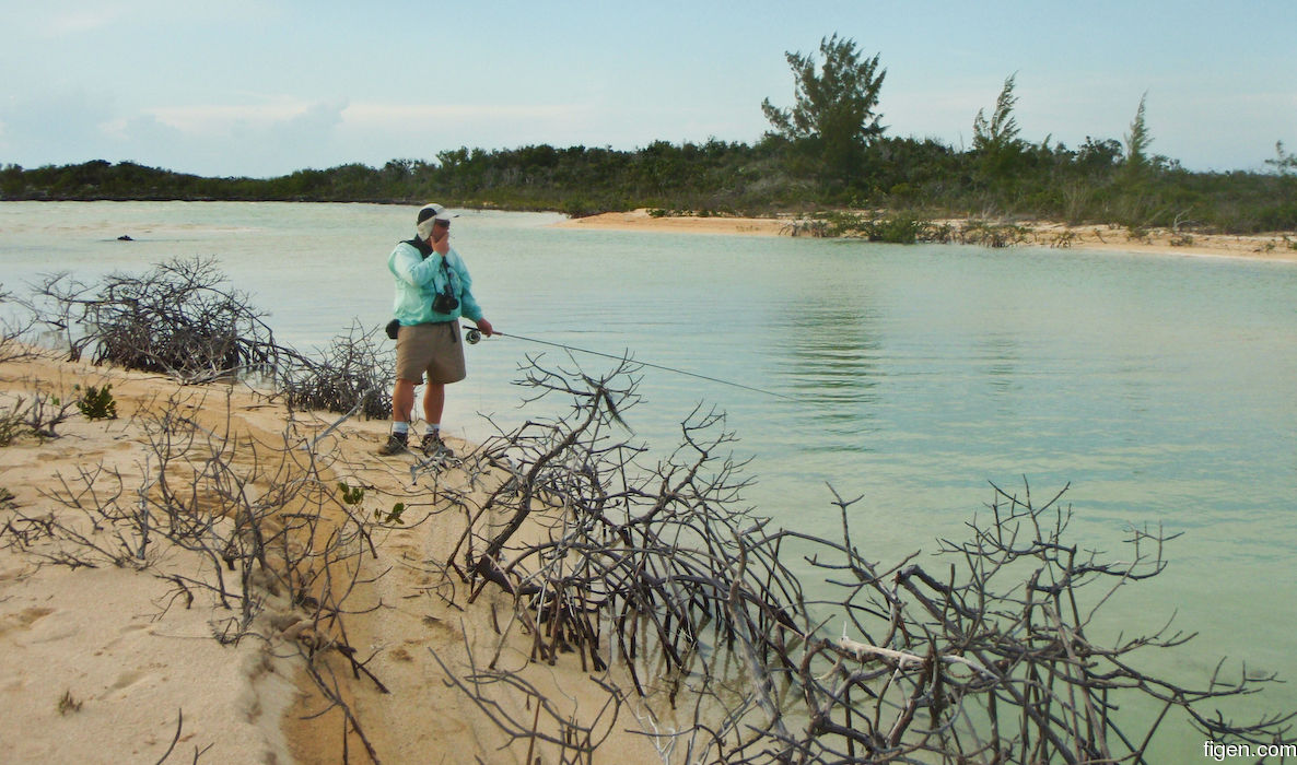 big_080226-bahamas-abaco-ocean-cay-LJ.jpg