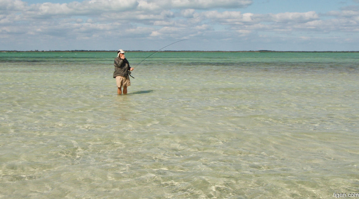 big_080228-bahamas-abaco-figen-LJ.jpg