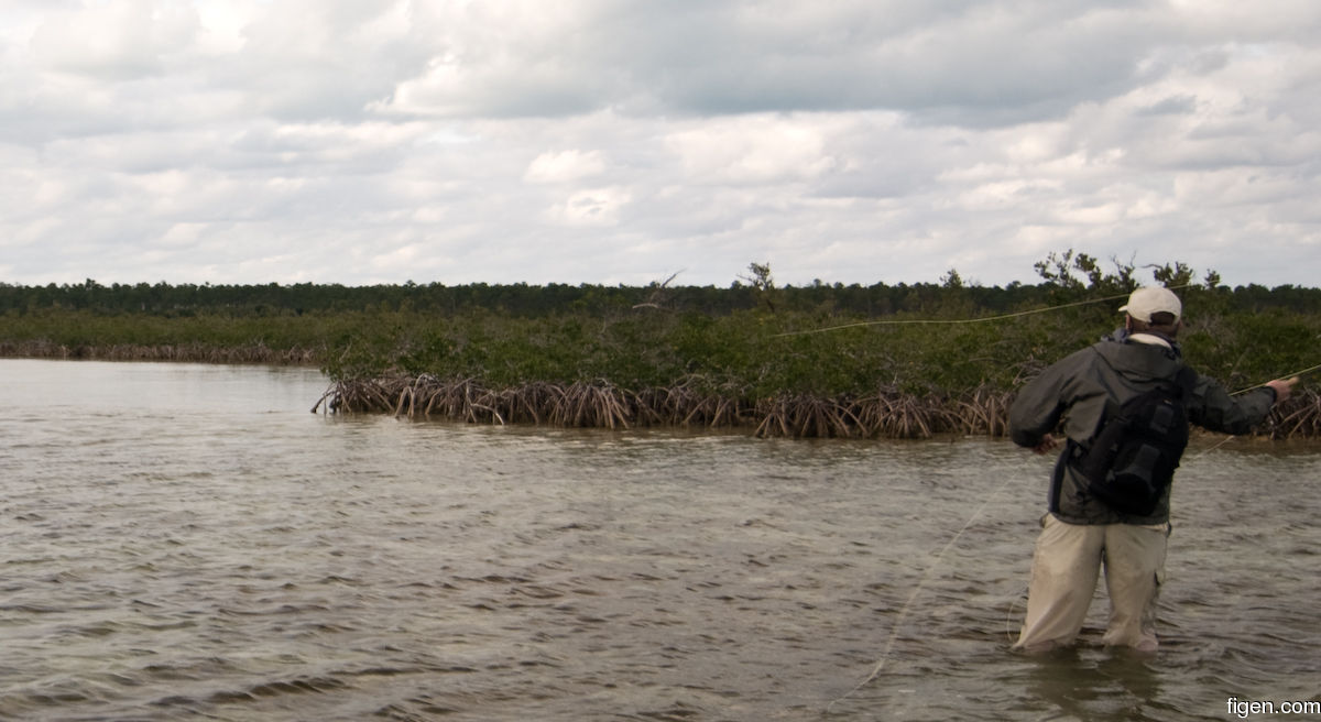 big_080229-bahamas-abaco-purka-tail.jpg