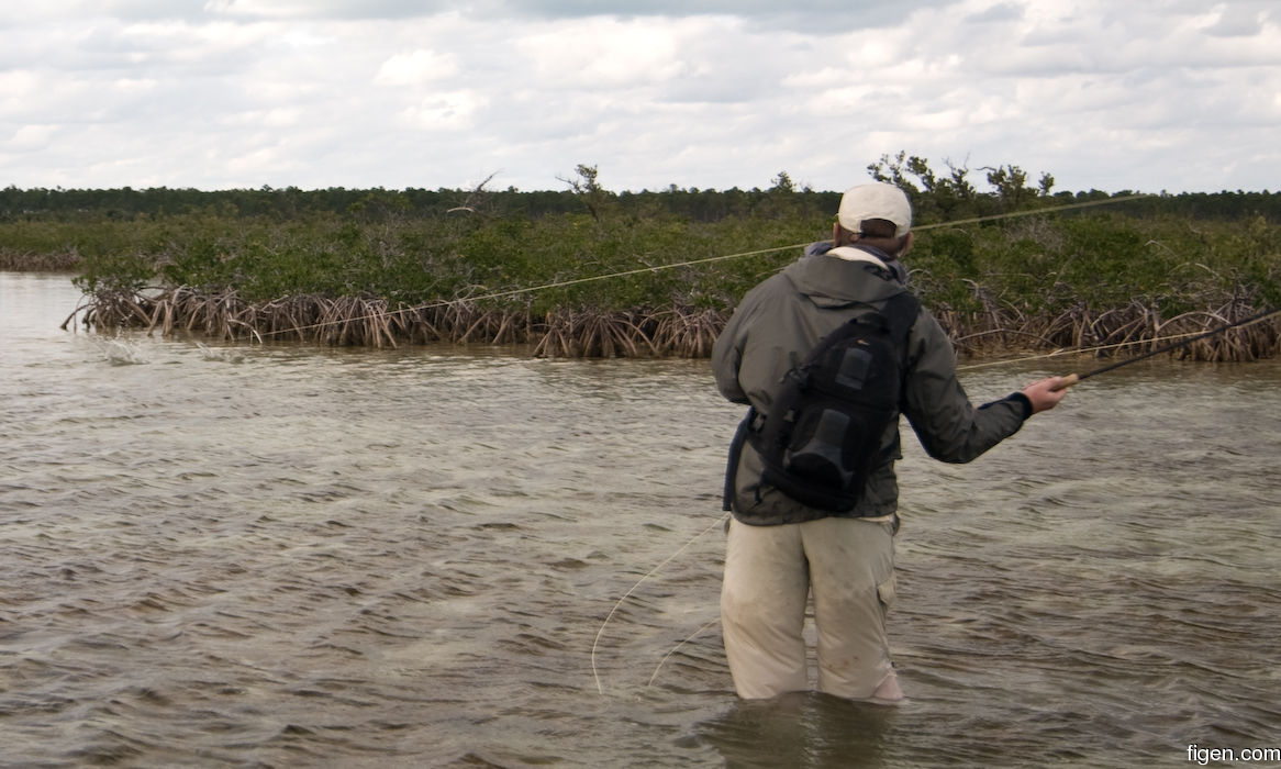 big_080229-bahamas-abaco-purka-tail2.jpg