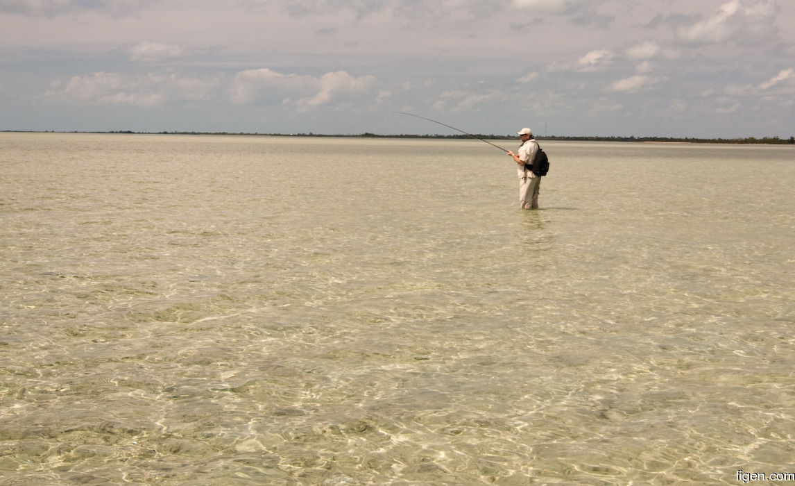 big_080301-bahamas-abaco-purka-dariusz2.jpg