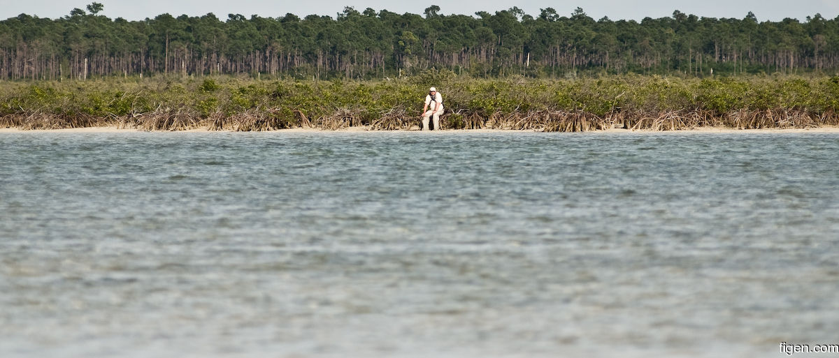 big_080301-bahamas-abaco-purka-mangrove.jpg