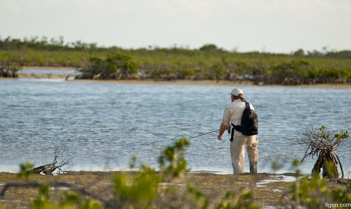 big_080301-bahamas-abaco-purka-tailers.jpg