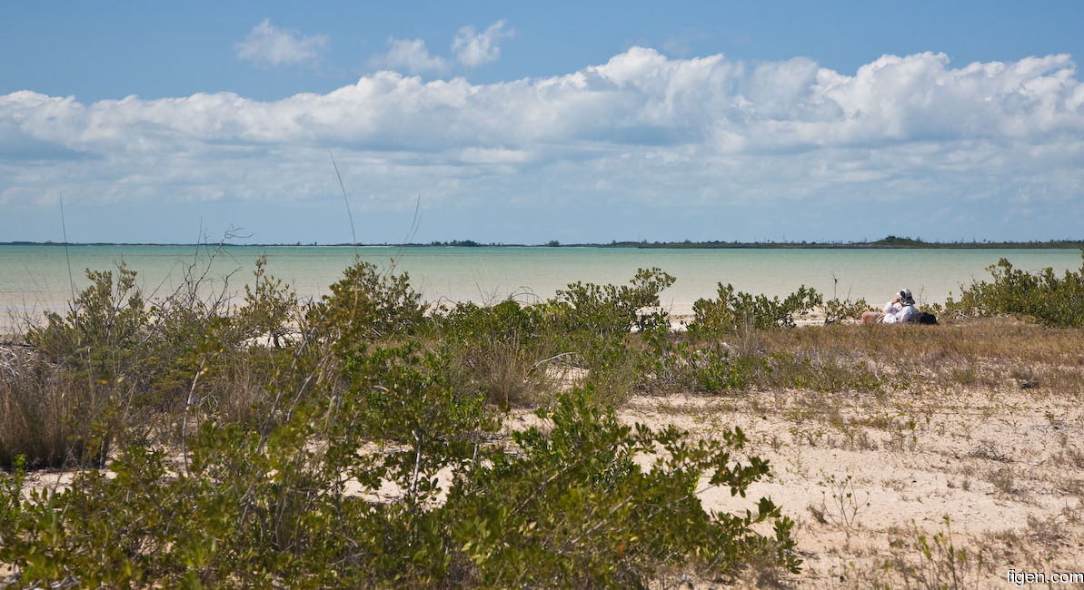 big_080302-bahamas-abaco-figen-DB.jpg