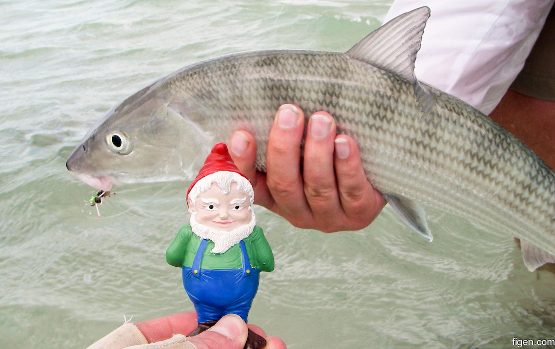 big_080303-bahamas-abaco-purka-figen3-SR.jpg
