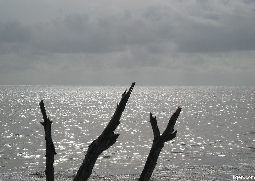 big_080304-bahamas-abaco-purka-drittvaer2.jpg