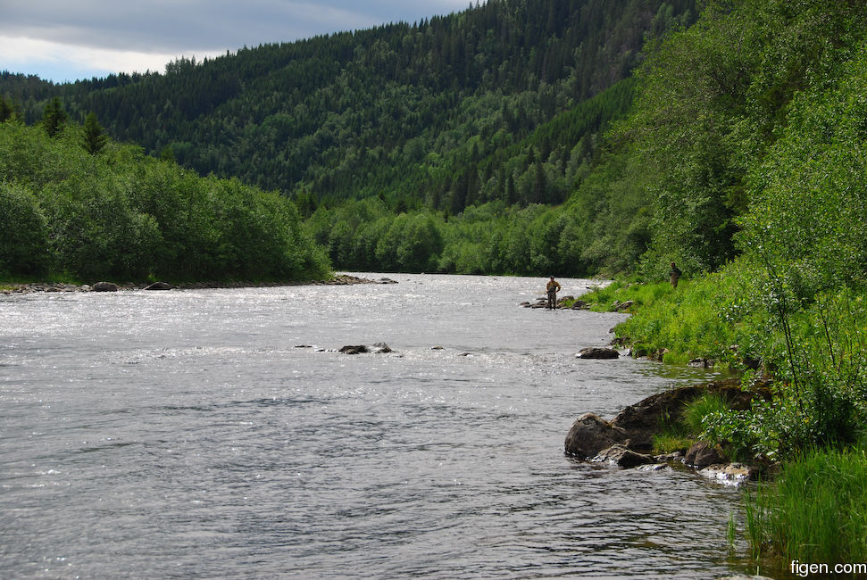 big_080620-Orkla-Elaholen-Juell.jpg