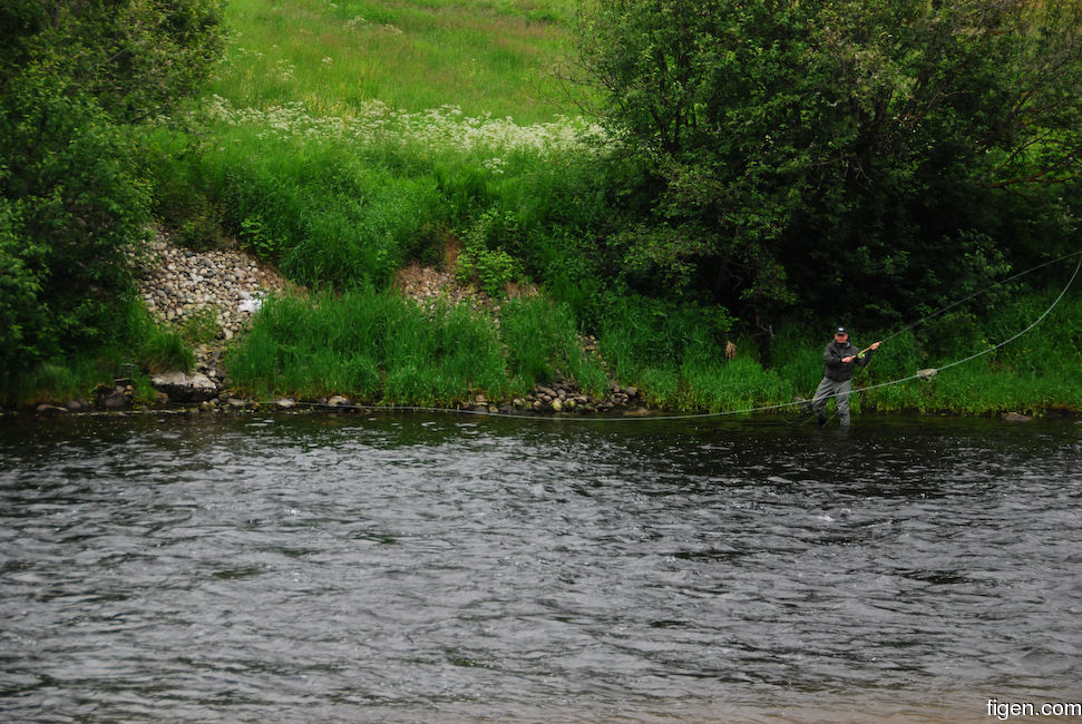 big_080620-Orkla-Stavne_Uv1-Juell-spey2.jpg
