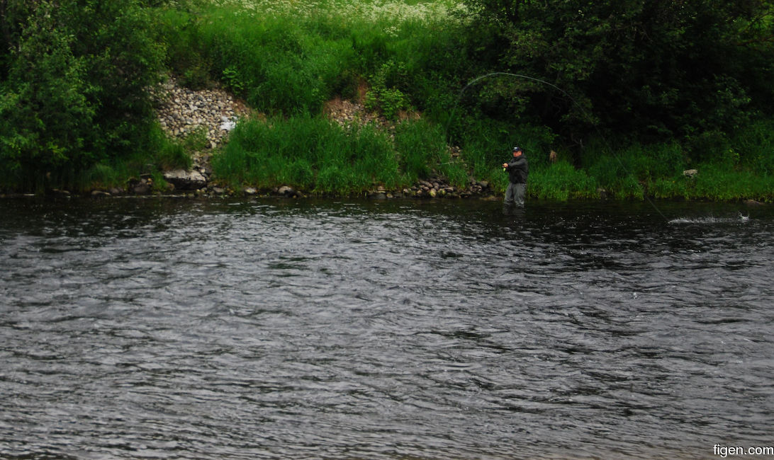 big_080620-Orkla-Stavne_Uv1-Juell-spey4.jpg