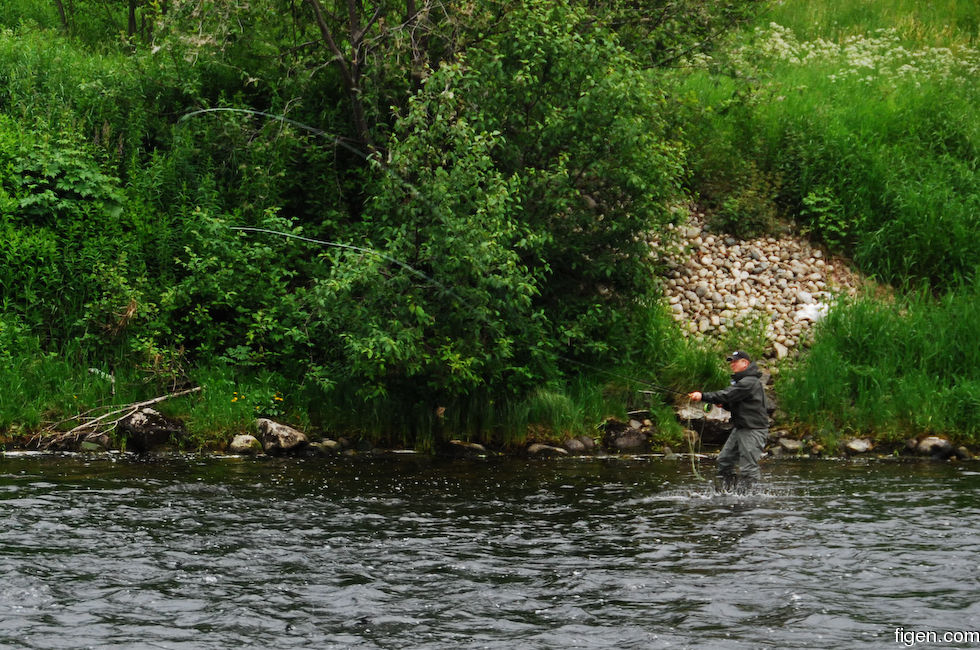 big_080620-Orkla-Stavne_Uv1-Juell-spey8.jpg