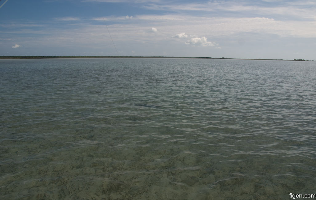 big_081202-bahamas-abaco-fish-on.jpg