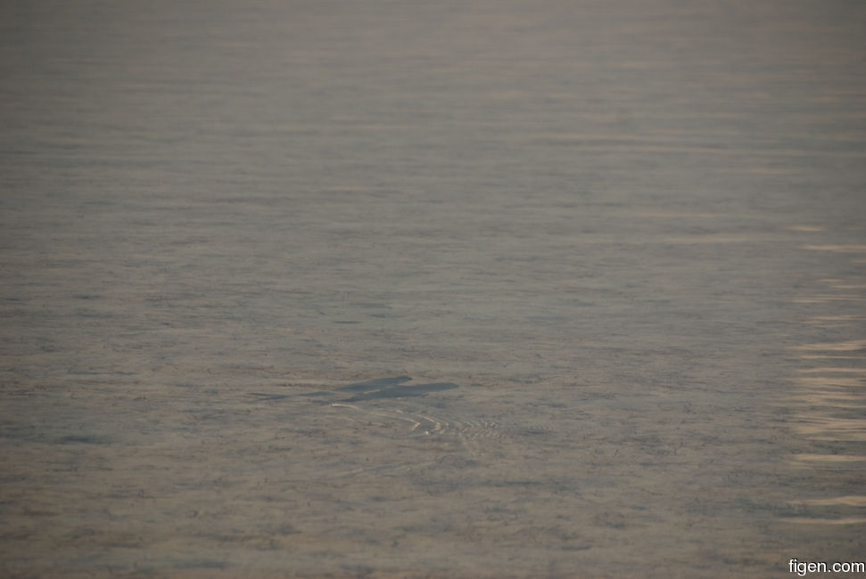 big_081202-bahamas-abaco-glass-flat-tail2.jpg
