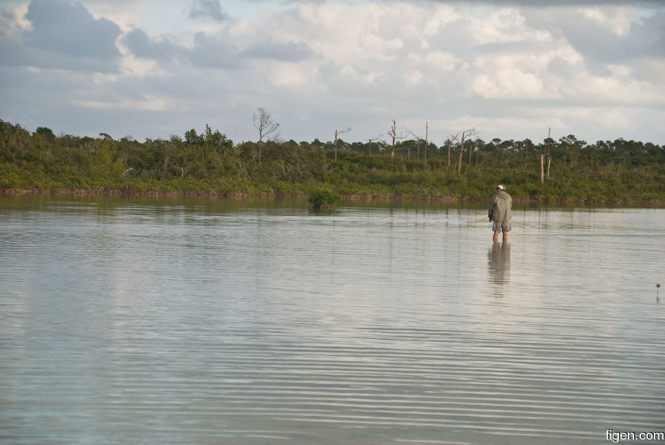 big_081204-bahamas-abaco-frank-tail2.jpg