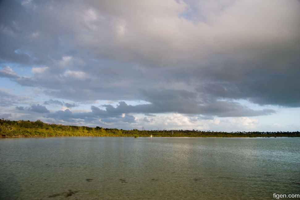 big_081204-bahamas-abaco-frank-tail3.jpg